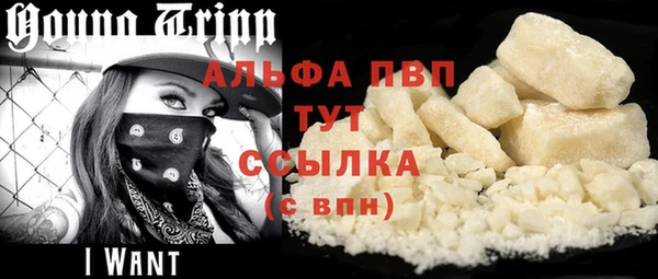 прущие грибы Арсеньев