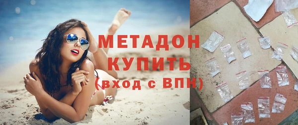 прущие грибы Арсеньев