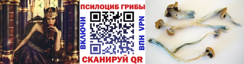 где купить наркоту  Белорецк  Псилоцибиновые грибы Psilocybe 